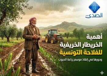 أهمية الأمطار الخريفية للفلاحة التونسية