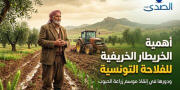 أهمية الأمطار الخريفية للفلاحة التونسية