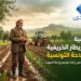 أهمية الأمطار الخريفية للفلاحة التونسية